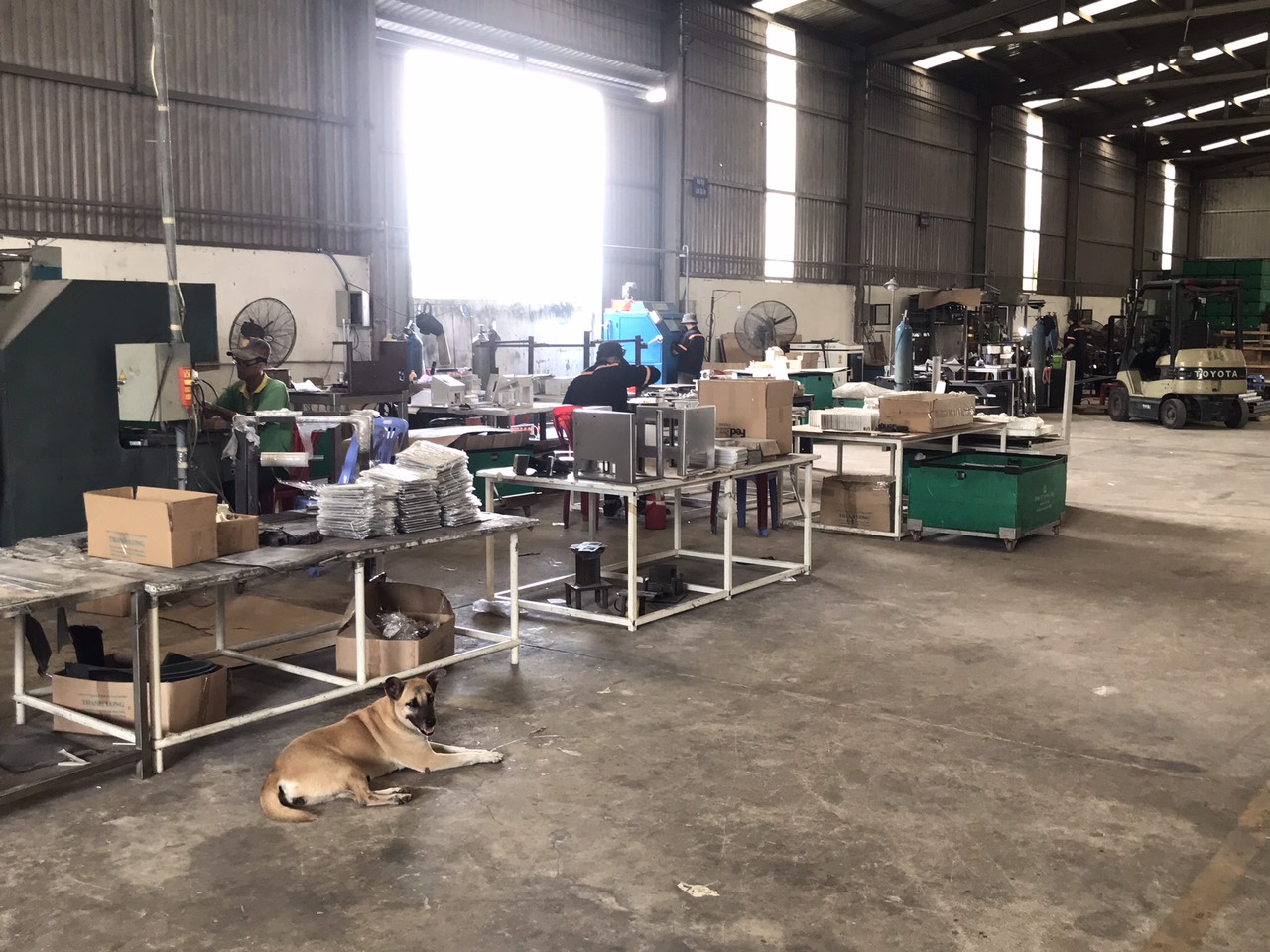 Workshop overview.jpg